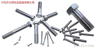供應:316L 外六角螺栓,華人螺絲網提供各種供應:316L 外六角螺栓報價、價格、生產廠家、供應商-興化齊力得五金制品